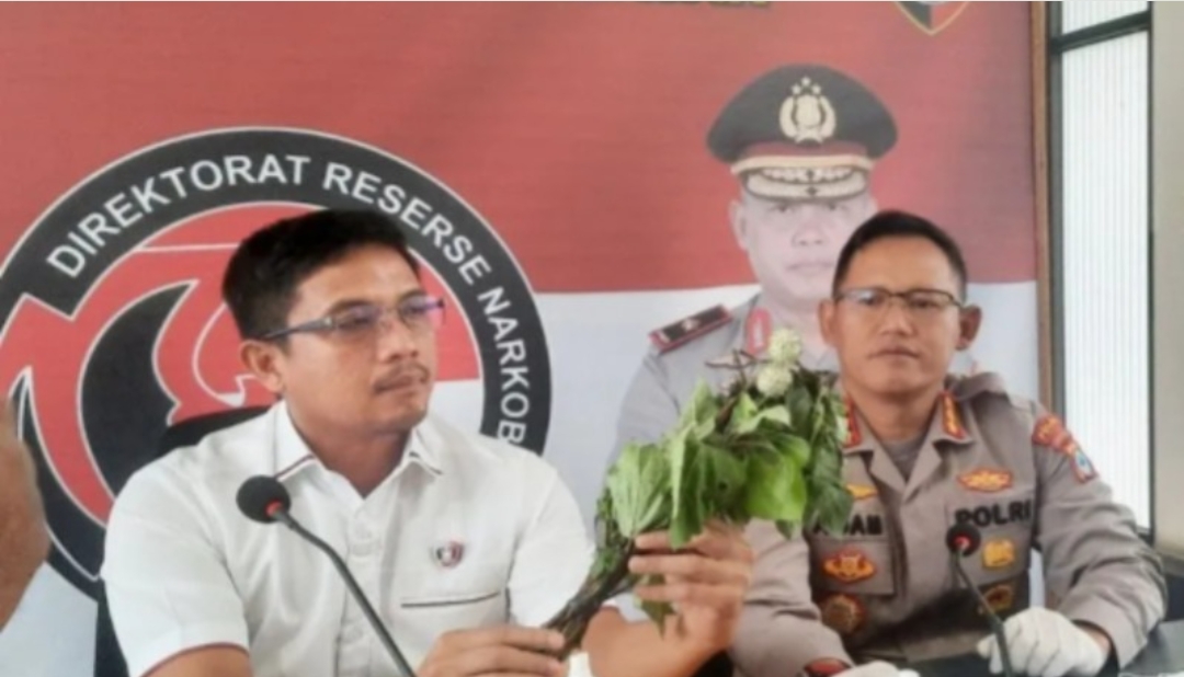 Ditresnarkoba Polda Kalsel: Kita Tunggu Hasil Labfor Dari Kandungan Buah Kecubung