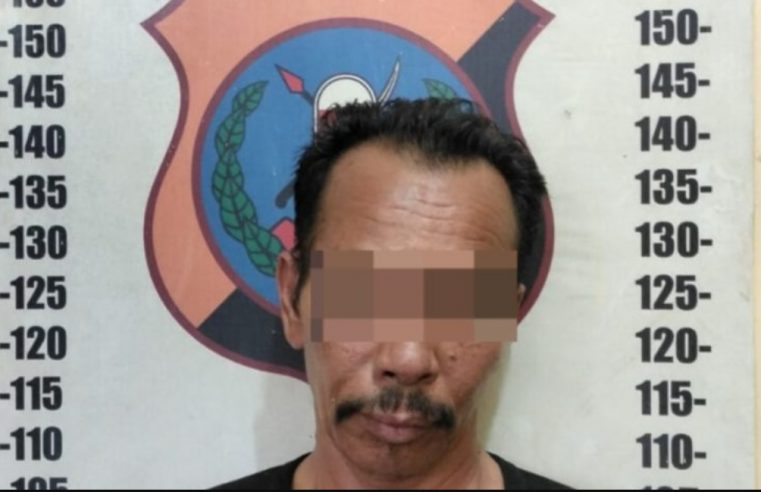 Penganiayaan Di Lapo Tuak, Polsek Siantar Martoba Tangkap Pelaku Inisial RS (50)