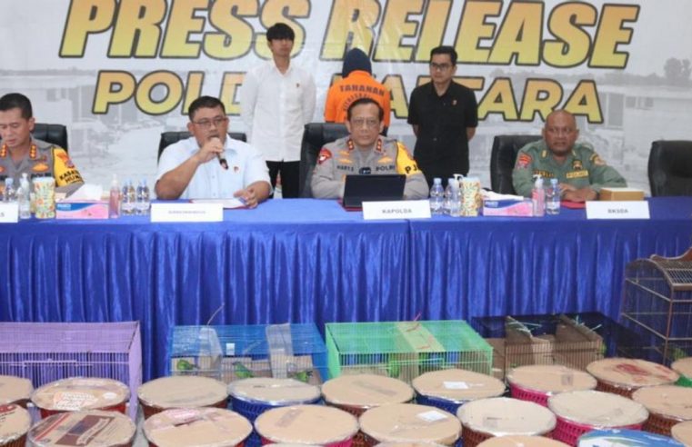 Polda Kaltara Ungkap Perdagangan 187 Ekor Burung Cucak Hijau yang Dilindungi
