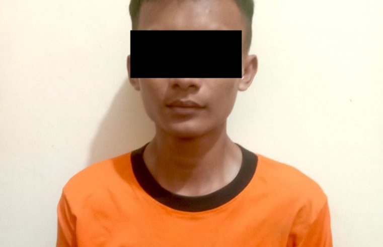 Rudapaksa Anak Dibawah Umur, Pelaku Inisial RKI (19) Berhasil Diamankan Polsek Seputih Surabaya