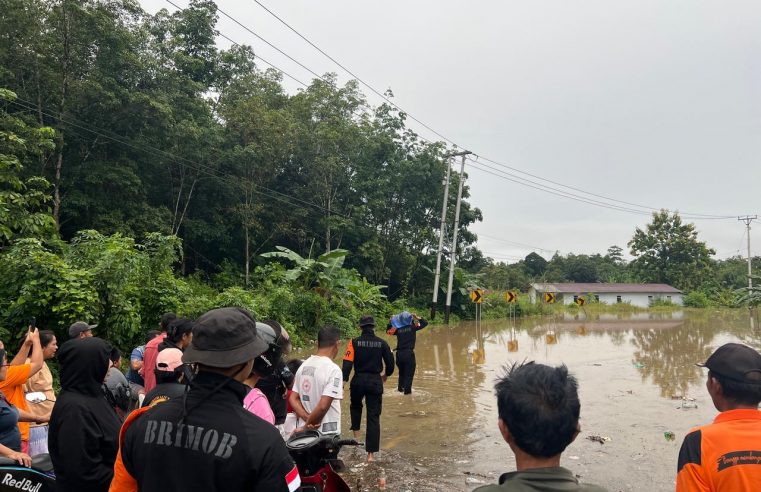 Banjir Rendam Puluhan Rumah di Morowali Utara, Satbrimob Polda Sulteng Terjunkan Tim Bantuan Evakuasi