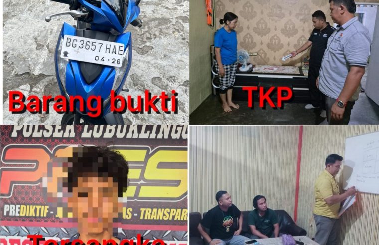 Tega, Anak Kandung Kuras Isi Rumah Orang Tuanya di Lubuk Linggau