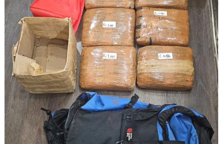Polisi Gagalkan Peredaran Gelap Ganja di Jaktim, Barbuk 6 Kg Disita