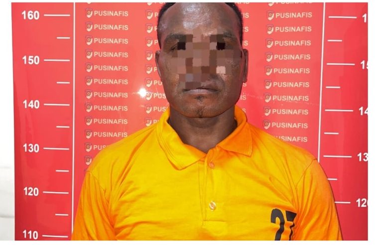DPO KKB Puncak Yekis Wanimbo Alias Salahmakan Tabuni Ditangkap di Mimika, Terungkap Kepemilikan Senpi