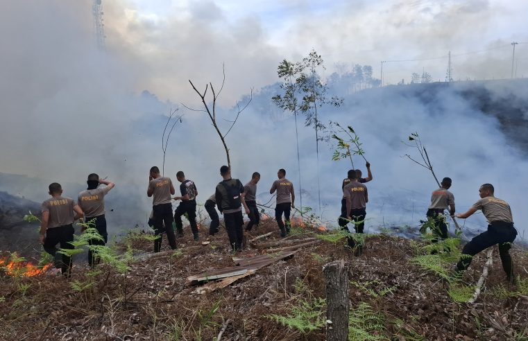 Personil Ditsamapta Polda Kaltara Berjibaku Padamkan Karhutla di KM 6 Tanjung Selor