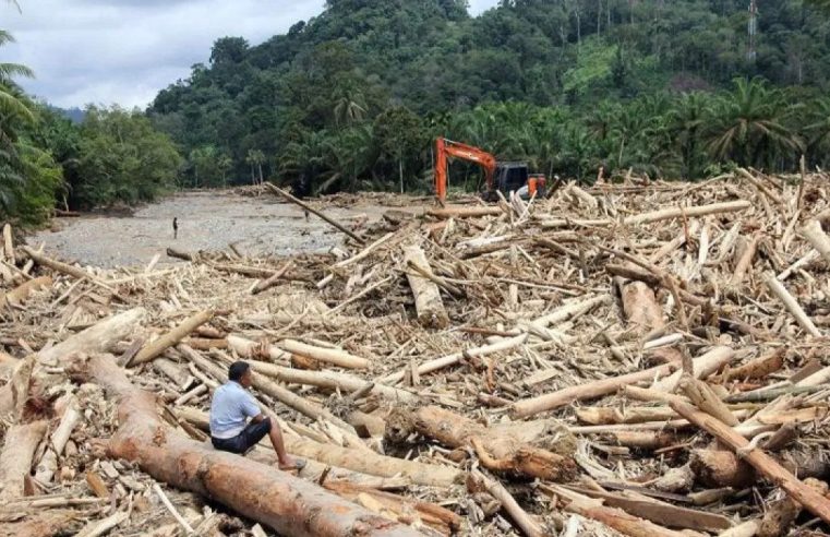 Polri Usut Asal-Usul Kayu Gelondongan yang Terbawa Banjir di Sumatera