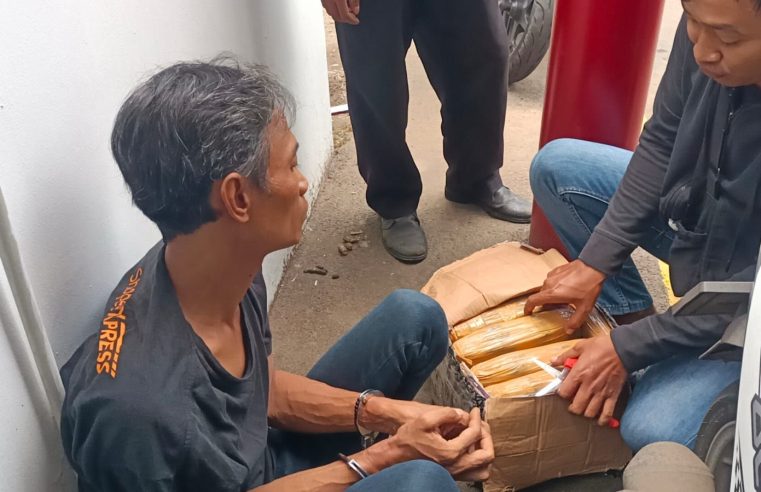 Ditresnarkoba Polda Metro Jaya Amankan Tersangka Peredaran Ganja 4,672 Kg