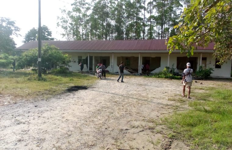 Gajah Liar Serbu Perumahan PT Arara Abadi Siak, Tidak Ada Korban Jiwa