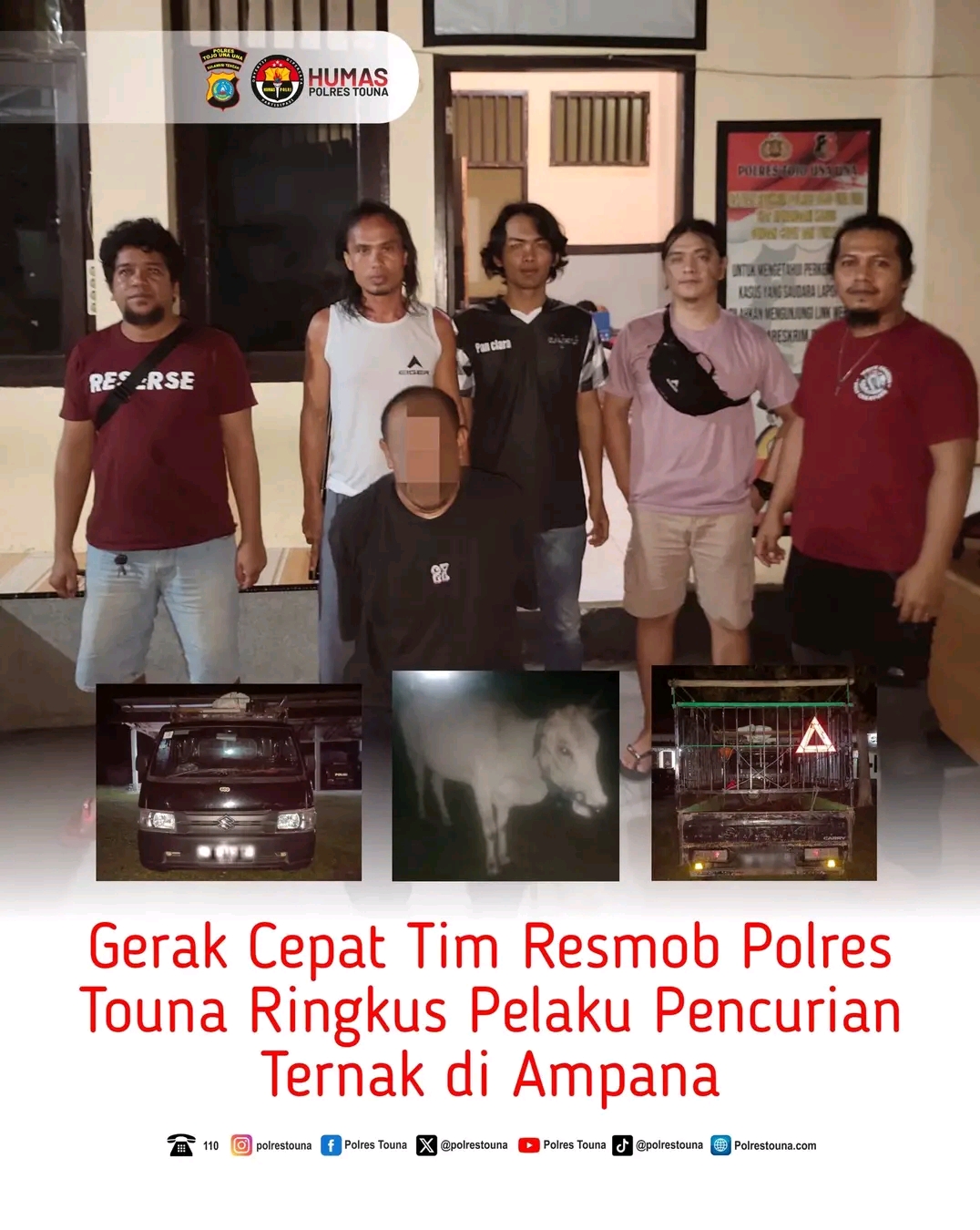 Curi Tiga Ekor Sapi, Pria Inisial REN 43 Tahun di Tojo Una-Una Ditangkap Polisi