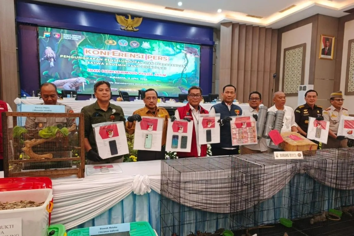 Dua Tahun Beroperasi, Jaringan Penyelundup Satwa Dilindungi Rugikan Negara Miliaran Rupiah