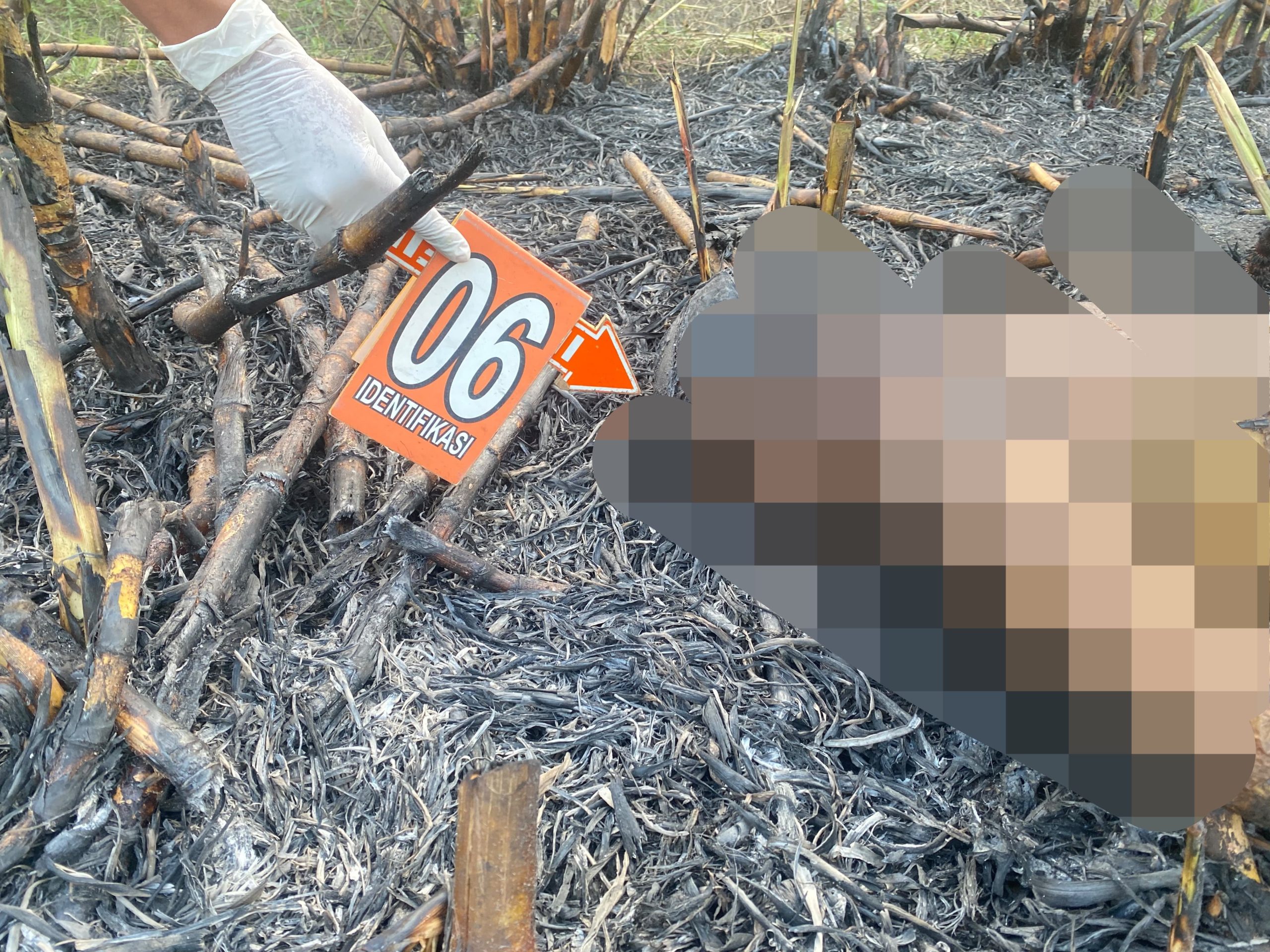 Terjebak Kobaran Api, Y (60) Petani di Wedarijaksa Meninggal Dunia