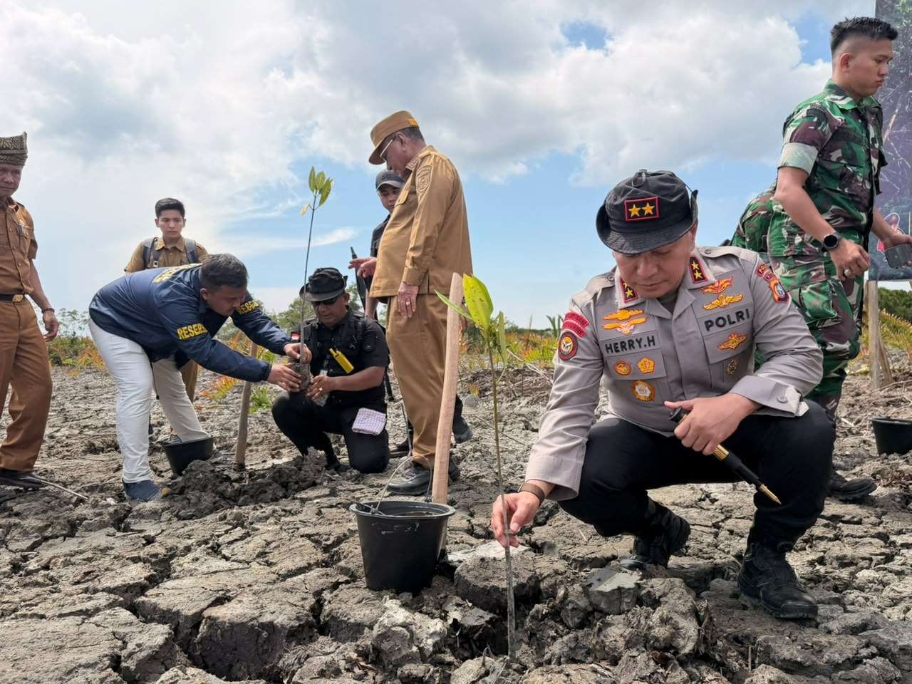 Peringati Hari Mangrove Sedunia, Polda Riau Pulihkan Kawasan Rusak di Rokan Hilir
