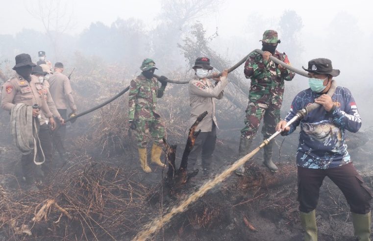 Hotspot Riau Tersisa Dua Titik, Kolaborasi Lintas Instansi Padamkan Karhutla di Kampar