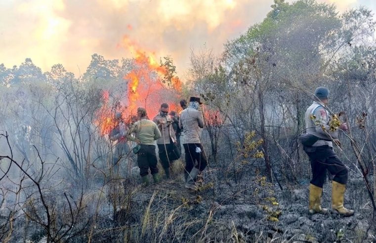 Karhutla Taman Nasional Way Kambas: 673,4 Hektare Terbakar, Pemadaman Terus Dilakukan