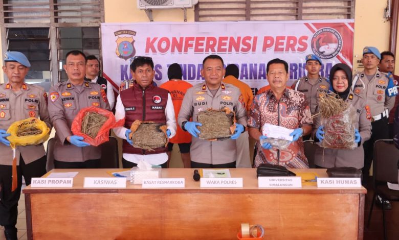 Capai Lebih 3,2 Kg, Polres Pematangsiantar Bongkar Kasus Ganja Berkat Kerja Sama Kampus USI