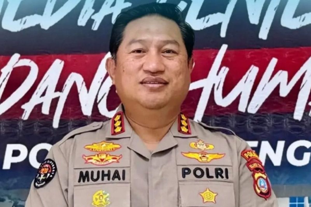 Temuan 22 Alat Berat di Buol Didalami Polda Sulteng Terkait Laporan Tambang Ilegal