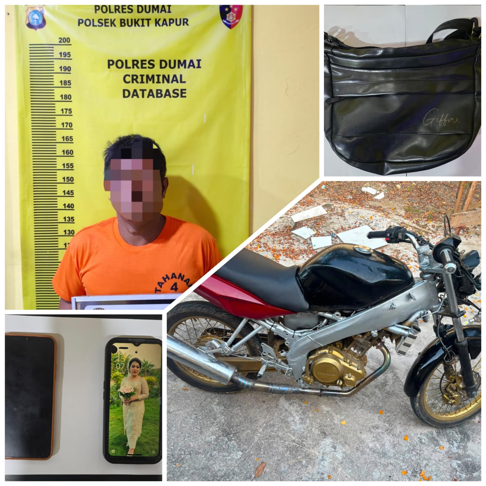 Bermodal Teriakan Warga, Pelaku Curat di Dumai Tertangkap Polisi