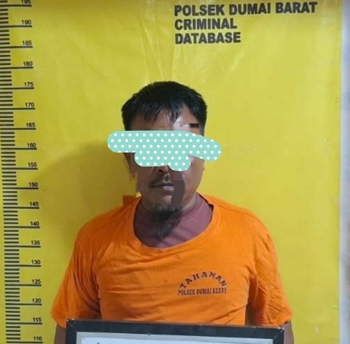 Bawa Mobil Pinjaman dan Tak Kembalikan, Tersangka Penggelapan Diamankan di Perawang
