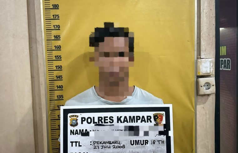 Bermula Temuan di Gawai Putri, Polres Kampar Tangkap RR Tetangga yang Lakukan Pelecehan Seksual Terhadap Anak
