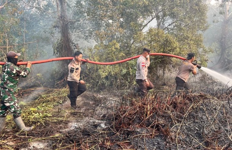 Tim Gabungan Berjuang Padamkan Kebakaran Lahan Gambut di Lingga, 12 Hektare Terbakar
