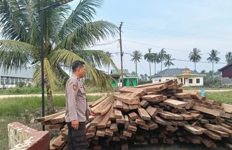 Dugaan Kayu Ilegal 10 Ton Terbongkar di Sinaboi, Satu Orang Ditetapkan Tersangka