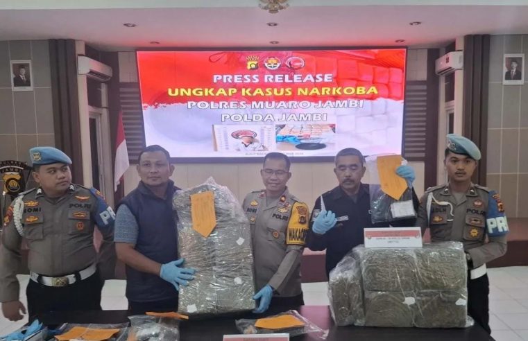Cegah Peredaran Narkotika, Polres Muaro Jambi Tangkap Kurir Ganja 30,8 Kg Asal Padang Sidempuan