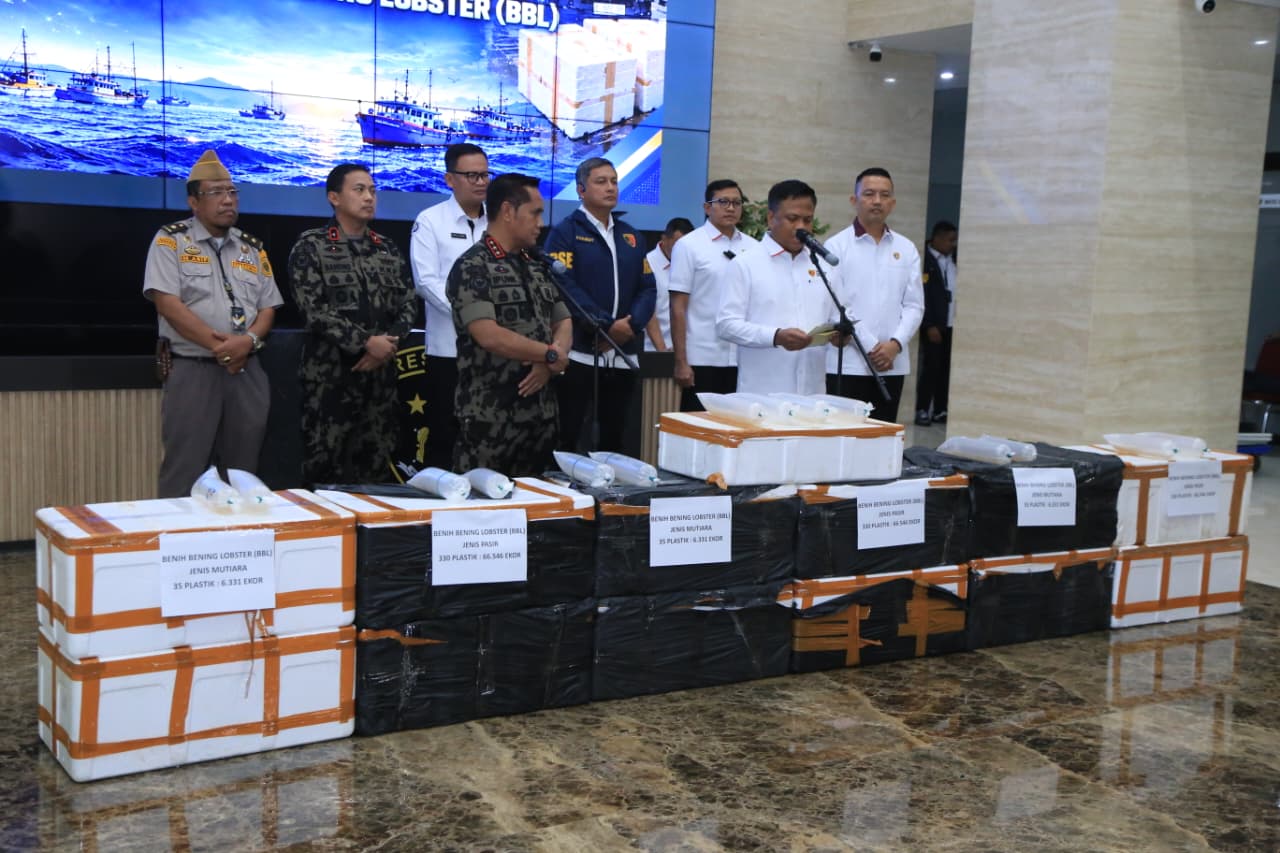 12 Boks Benih Lobster Diselundupkan Keluar Negeri, Dua Orang Ditangkap di Depok