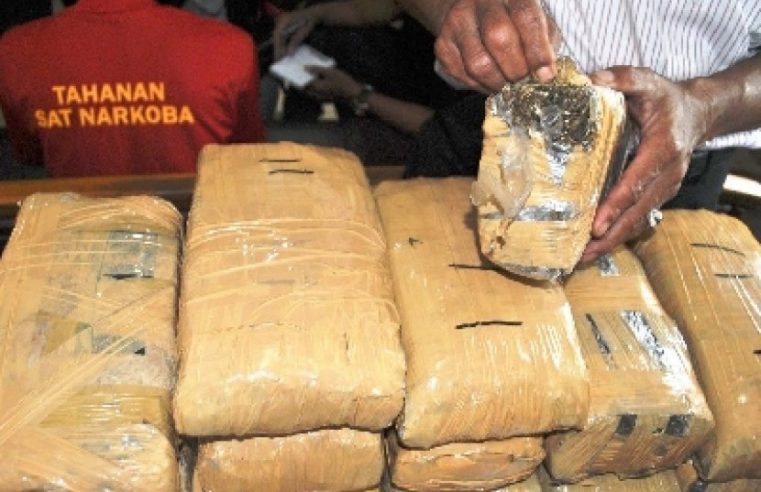 Sat Narkoba Polres Madina Berhasil Gagalkan Penyeludupan 4,9 Kg Ganja