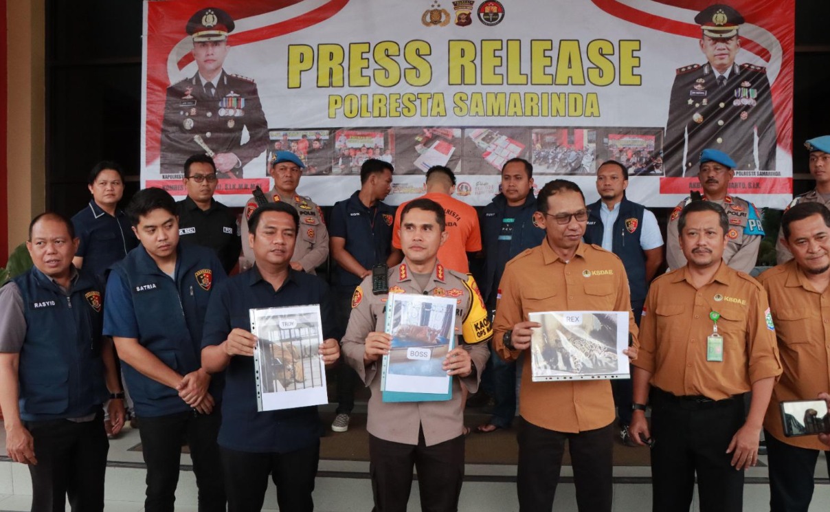 Polisi Tetapkan Pemilik Harimau di Samarinda yang Menewaskan Keepernya Sebagai Tersangka