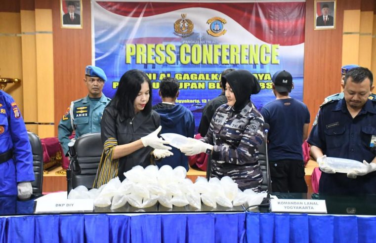 TNI AL KEMBALI GAGALKAN PENYELUNDUPAN BENIH BENING LOBSTER DI DAERAH KULONPROGO YOGYAKARTA