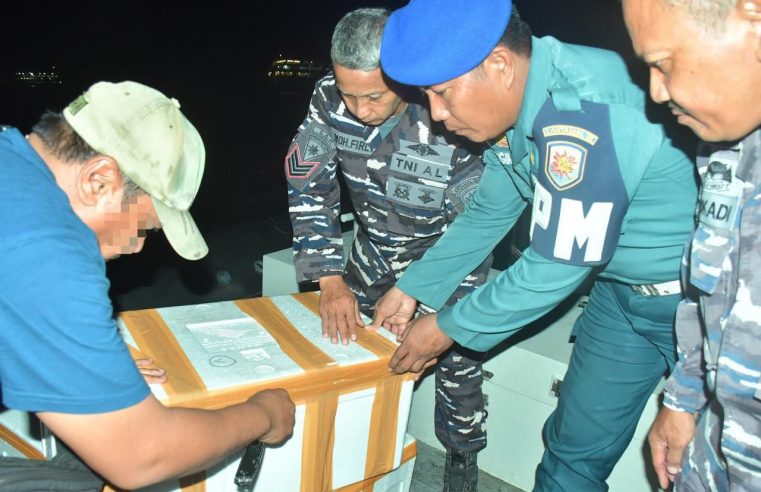 TNI AL KEMBALI AMANKAN 73.033 BENIH BENING LOBSTER DI PELABUHAN MERAK CILEGON BANTEN