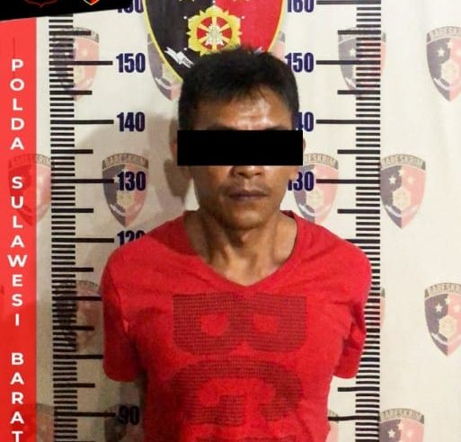 Tim Opsnal Polres Polman Tangkap Lelaki Inisial R (36) Pelaku Persetubuhan Anak Dibawah Umur