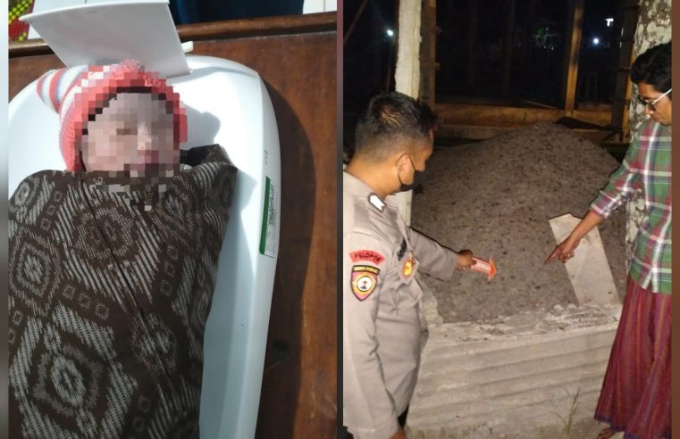 Polisi Selidiki Penemuan Bayi Perempuan di Kandang Sapi Warga di Kopang Lombok Tengah