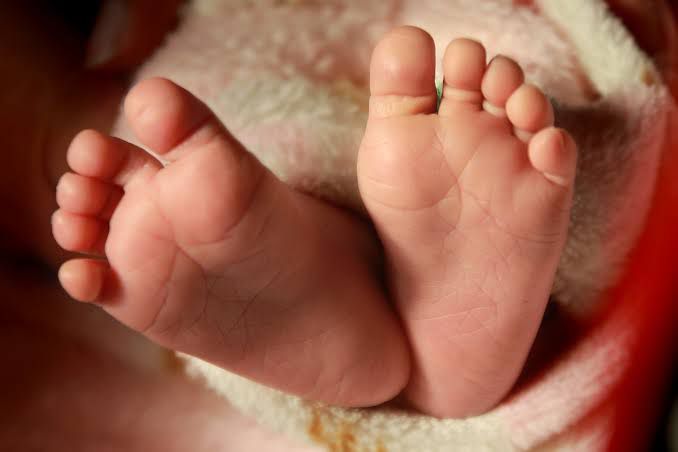 Polisi Selidiki Pelaku Sindikat Jual Beli Bayi di Daerah Bali