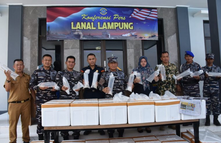 PRAJURIT TNI AL BERHASIL GAGALKAN PENYELUNDUPAN BENIH BENING LOBSTER DI LAMPUNG