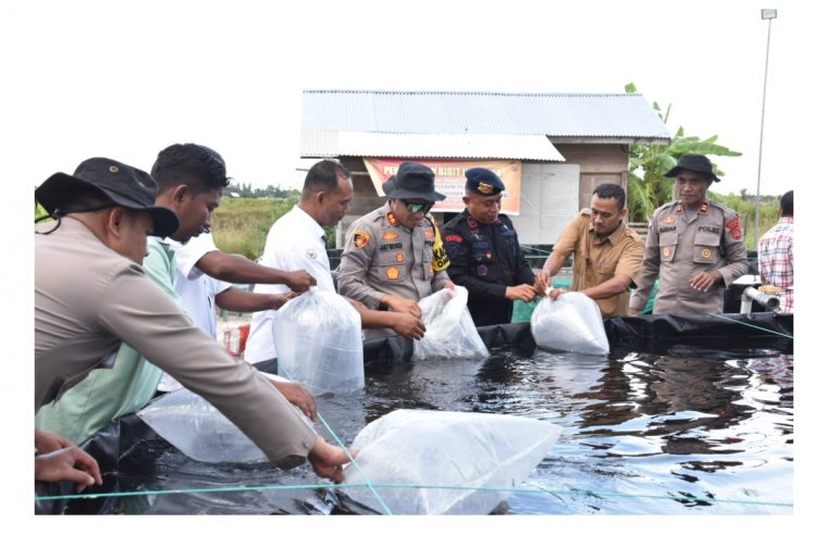 Kapolres Serahkan Sebanyak Tiga Ribu Bibit Ikan Nila Untuk Masyarakat Bireuen, Dukung Asta Cita Presiden