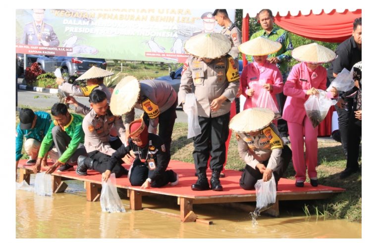Penebaran Benih Ikan Lele oleh Kapolda Kaltara Dalam Rangka Mendukung Swasembada Pangan