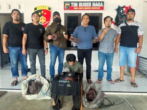 Buser Naga Polresta Pangkalpinang Tangkap Pria Bernama Awen Pelaku Yang Diduga Melakukan Pencurian di 9 TKP