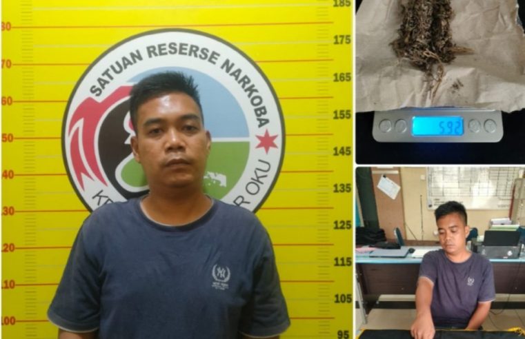 Seorang Pengedar Narkotika Jenis Ganja Inisial CA Diamankan Sat Narkoba Polres Oku