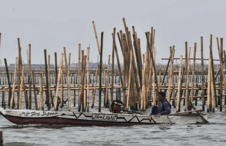 Terkait Pagar Laut di Bekasi Dalam Proses Lidik di Bareskrim Polri