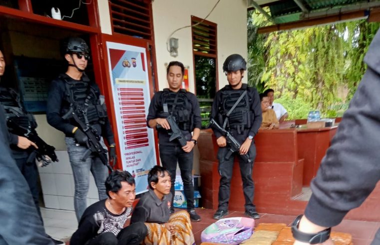 Polisi Berhasil Mengamankan Mobil Boks Yang Membawa 500 Kg Ganja di Pasaman Barat Sumnar