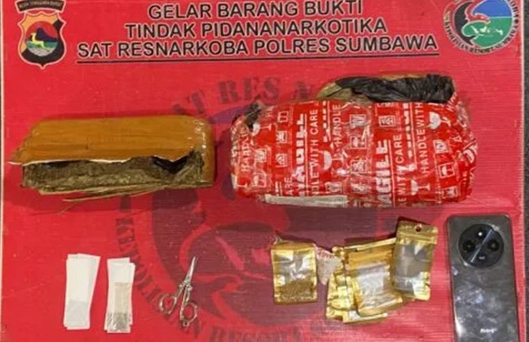 Personil Polres Sumbawa Gagalkan Penyelundupan 500 Gram Ganja, 2 Orang Pengedar Ditangka
