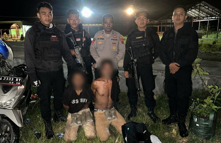 Kembali, Polisi Berhasil Gagalkan Pengedar Ganja di Kabupaten Keerom Papua