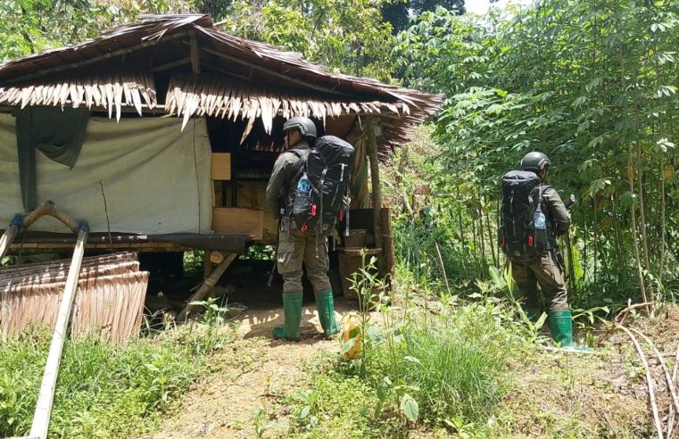 Cegah Tempat Pelatihan Teroris, Tim Alfa 2 Madago Raya Sasar Bekas Camp di Pegunungan Poso