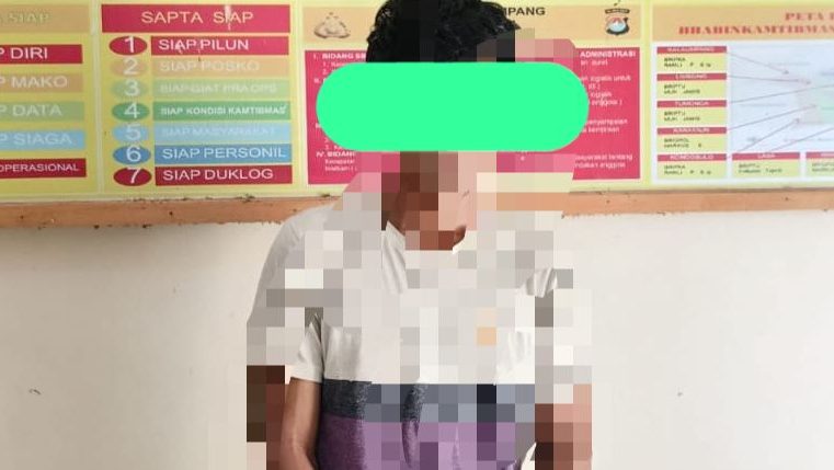Anggota Polsek Kalumpang Tangkap AR (31) Terduga Pelaku Percobaan Pemerkosaan Disertai Penganiayaan di Kalumpang