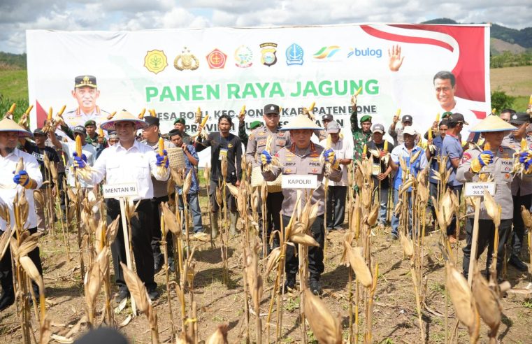 Kapolri-Mentan Panen Raya Jagung di Bone Sulsel, Dukung Program Ketahanan Pangan Nasional