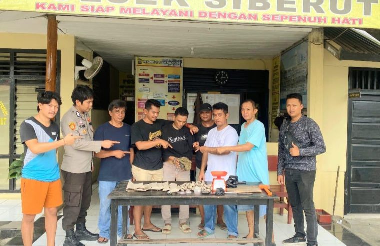 Sigap ! Polsek Siberut Tangkap Kepala Dusun Edarkan Ganja, Upaya War on Drugs Terus Ditingkatkan