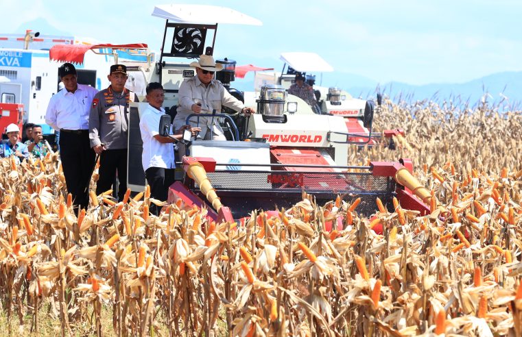 Presiden H. Prabowo Subianto Bahagia Bisa Panen Raya Jagung Bersama Polri