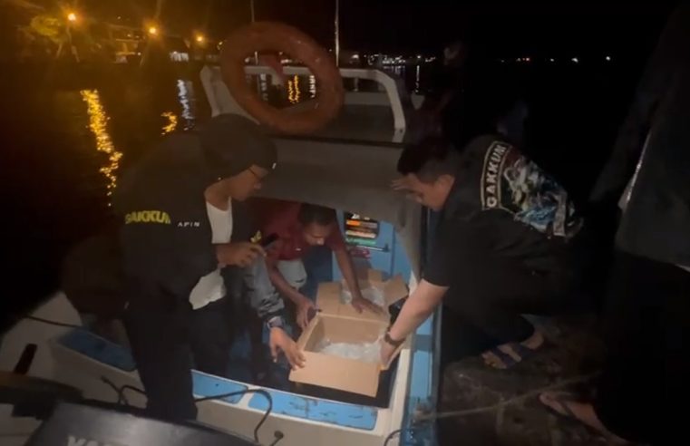 Tim Penyidik Ditpolairud Polda Malut Tangkap Puluhan Kantong Cap Tikus di Perairan Ternate