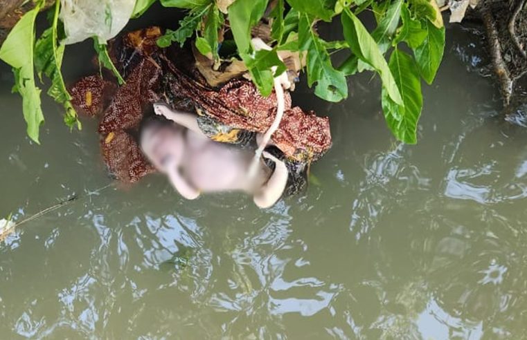 Polisi Selidiki Penemuan Jasad Bayi Laki-laki di Saluran Air Bendungan Lombok Tengah